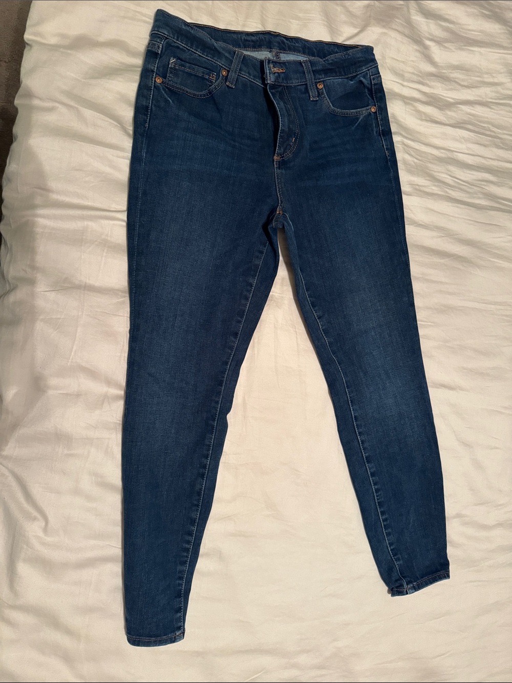 LOFT Indigo Skinny Jeans